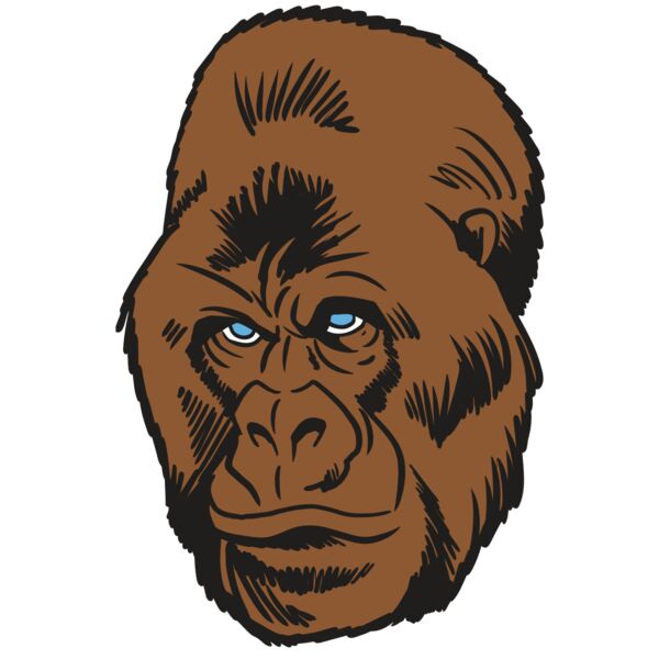 AR19 GORILLA 02 RQC Thumbnail